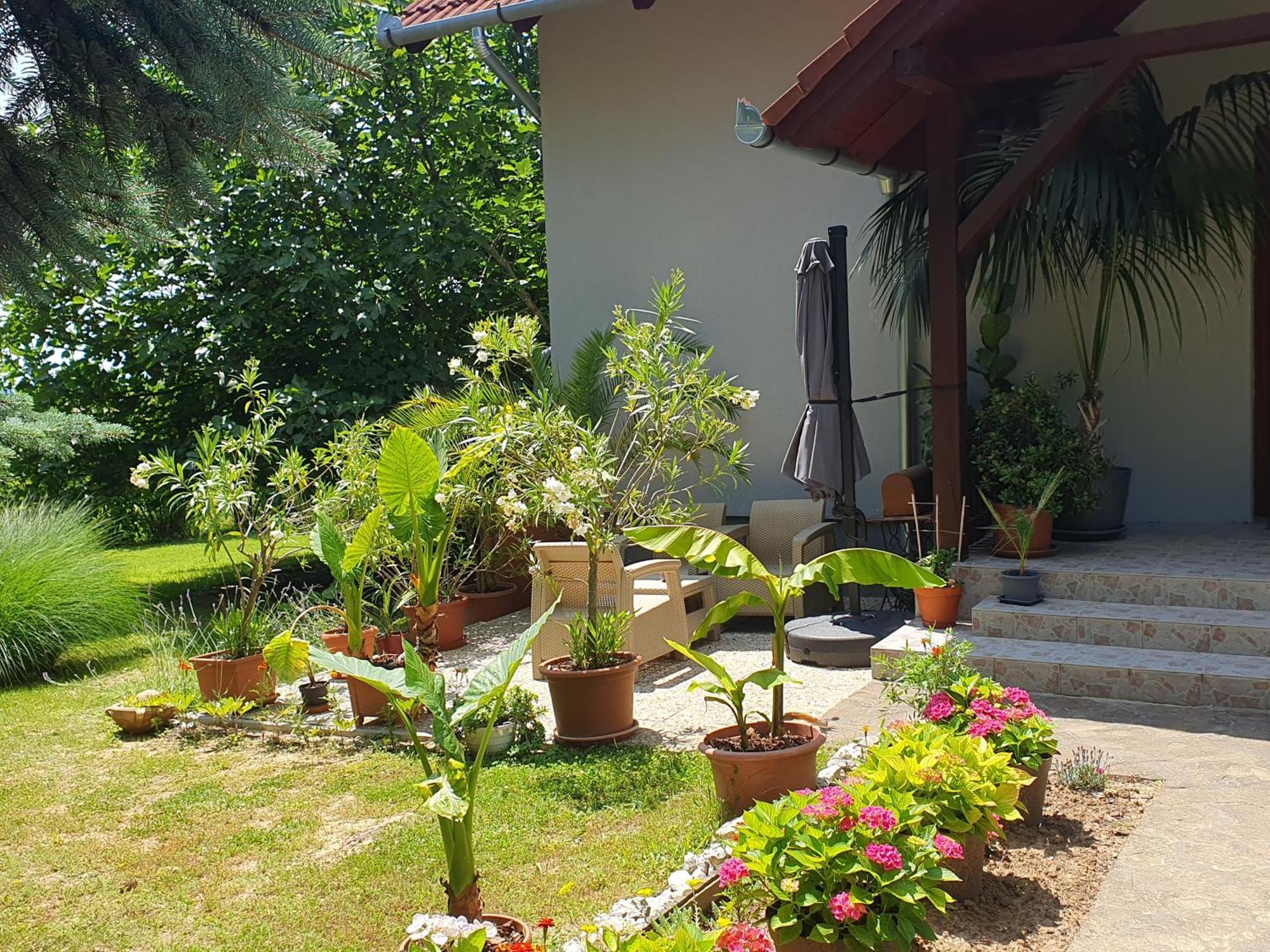 Fehér Rózsa Apartman Cserszegtomaj Exterior foto